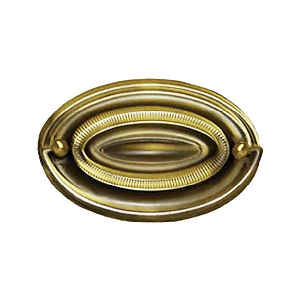 Oval Hepplewhite Drawer Pulls - Paxton Hardware